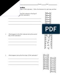 Number the steps below in order to describe the replication of dna in a cell. Dna Replication Worksheet Dna Replication Dna