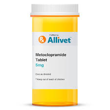 Image result for Metoclopramide