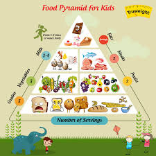 Starchy carbohydrates consist of long chains of glucose. Indian Food Pyramid Indian Summer