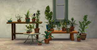 Plants Sims 4 Sims Sims 4 Cc Furniture
