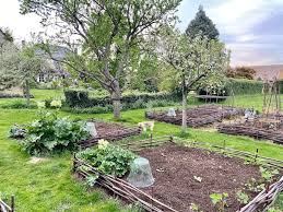 In this video, kathy jentz, editor/publisher of washington gardener magazine, demonstrates how to winterize a vegetable garden including how to create a new garden bed without digging. My Spring Garden And The No Dig Beds My French Country Home