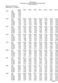 Compensation Plans For The State Of Hawaii Pdf