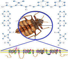 Image result for Pyrethroid
