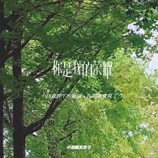 You are my glory (2021) 2021 45 phút/tập. Em La Niá»m Kieu Hanh Cá»§a Anh ä½ æ˜¯æˆ'çš„è£è€€ In 2021 Neon Signs Neon Lockscreen Screenshot