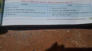 Jul 05, 2017 · in this experiment, you will measure mass and volume of various sport balls, both regularly shaped ball and irregularly shaped. Is There Any Difference Between Mitosis Between Plant And Animal Cell What Is That Brainly