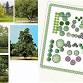 Agroforestry systems inc Forest Gardens   event image