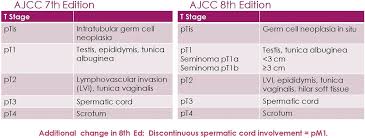 Challenges With The 8th Edition Of The Ajcc Cancer Staging