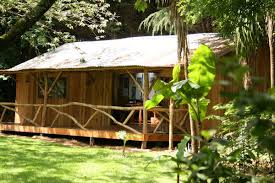 Le Jardin D Afrique Les Jardins Du Monde A Tropical Parc Tropical Parc Dans Le Morbihan
