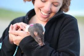 2017 NiSHA Annual Report