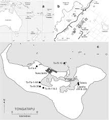 (the tongan word for the phloem/inner bark is tu tu.) these tu tu strips are usually about 4 inches or so wide and ranging from 5 to 7 feet tall. An Isotopic Analysis Of Late Lapita And State Period Diets In Tonga Springerlink