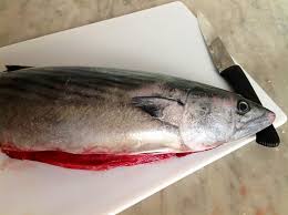 Lasciare marinare per 30 minuti circa, in modo da rendere più compatta la carne. Ricette Da Sub L Oceano In Pentola Caldeirada Di Palamita Mastro Sommerso Viaggi E Crociere Sub