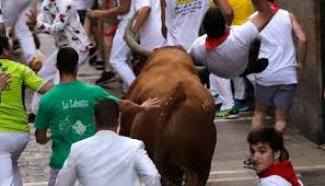 Octavo Y Ultimo Encierro De San Fermin 2019 El Miura Rabanero Siembra De Cornadas El Encierro De Miura Tras Caer Y Correr Solo Desde Mercaderes Noticias De San Fermin En Diario