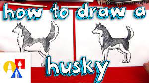 Most people have heard of balto, the sled dog with his own statue in central park. How To Draw A Husky Youtube