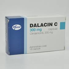 Plus renal, liver and 200 to 400 mg orally every 4 hours as needed maximum dose: Pret Dalacin 300 Mg