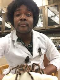 I'm a PhD student who studies insects and other creepy crawlies. Ask me  anything.