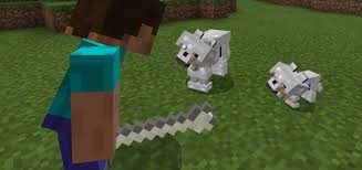 Dec 31, 2020 · these armors and additional items can be found in the creative inventory weapons, armors and tools section. Dog Armor Addon Addons Minecraft Curseforge