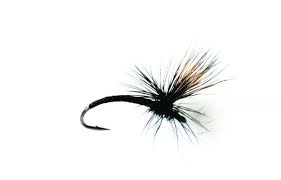 And you want to cast into spots where you know trout are feeding. 10 Classic Dry Flies For Trout Outdoor Canada