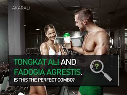 Image result for Fadogia cienkowskii