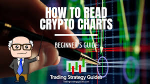 There's so much in a here—a lifetime's worth of trading wisdom, it seems—that it may take a while to fully absorb it all. How To Read Crypto Charts Beginner S Guide