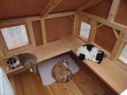 Heated Pet Houses Multiple Cats Luxury Lounging Hideout For One Or Multiple Cats Outdoor Cat House Cat House Diy Heated Outdoor Cat House