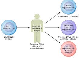 Image result for BCL2 Inhibitor