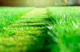 They resolve your pest problem effectively and with a smile. Garland Lawn Control How To Keep Your Lawn Under Control And In Great Shape