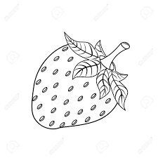 Welcome to farm fresh for life! Strawberry Black Outline Organic Fresh Health Dessert Icon Design Vector Illustration Isolated On White Background Royalty Free Cliparts Vectors And Stock Illustration Image 94062361