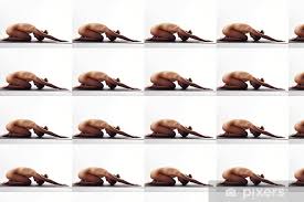 Tapete Nackte Frau macht einfach Stressabbau Yoga - PIXERS.AT