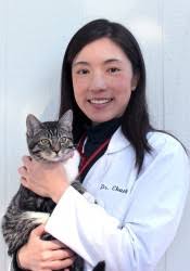 Shira Rubin (Midtown Veterinary Hospital)