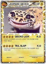 We did not find results for: Pokemon Leopard Gecko 6