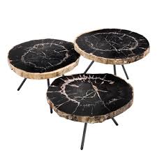 80 d x 180 w x 33 h cm. De Soto Dark Petrified Wood Coffee Table Set Of 3 Shop Now