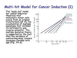 Chap 24 Cancer Topics Goals Tumor Cells And The Onset Of Cancer Ppt Video Online Download