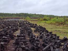 Videos pornos de marian gomez