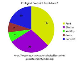 The Outcome My Ecological Footprint