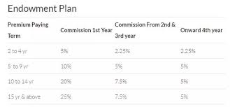 How Much Does One Lic Agent Make When We Take An Insurance