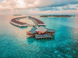 Standard protocol is a collateralized rebasable stablecoin (crs) protocol for synthetic assets operating across the polkadot ecosystem. The Standard Huruvalhi Maldives Bewertungen Fotos Preisvergleich Malediven Raa Atoll Tripadvisor