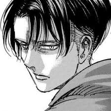 Snk Icons Tumblr Shingeki no kyojin / attack on titan healthy. snk icons tumblr