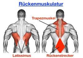 Wie sie die rückenübungen durchführen. á… Ruckenubungen Zu Hause Die Top 4 Bilder Videos