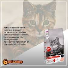 Pinterest Te Petzzshop Com Petzzshop En Sevdikleri Fikirlerin Koleksiyonlarini Gorun