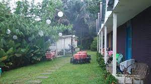 Batang pinang in english / suasana desa menggamit nostalgia sajian kampung di nurul. Tempat Menarik Di Batang Kali Menarik Di Hulu Selangor Facebook