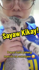 Dapat bata palang matuto na sumayaw para di camera shy hahahha 😃 #fyp  #foryoupage #foryou #notoanimalsabuse #catlovers #foryoupage #catsoftiktok  #rescuecat #strayfeeding #PetsOfTikTok #adoptdontshop ...