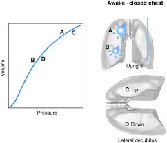 Image result for Intrapleural Anesthesia