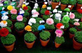 Find and follow posts tagged manjerico on tumblr. Visit Lisboa The Manjerico Is A Popular Plant Of The Facebook