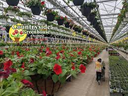 Check spelling or type a new query. Countryside Greenhouse Photos Facebook