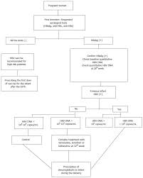 Hepatitis B And Pregnancy An Update Review Article