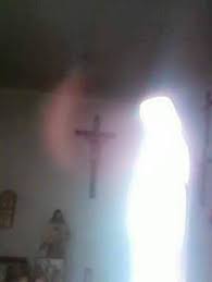 170 Miraculous Pictures ideas | blessed mother, marian apparition, blessed  mother mary