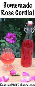How To Make Rose Cordial Recipe Cordial Recipe How To Make Rose Fruit Recipes Healthy
