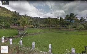 Banyak warganet di twitter yang menduga keterlambatan perilisan tersebut dikarenakan virus corona yang sedang. Dimana Lokasi Desa Penari Dalam Kisah Viral Kkn Di Desa Penari Pedesaan Penari Taman Nasional