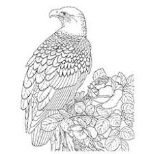 20 Cute Eagle Coloring Pages For Your Little Ones Bird Coloring Pages Animal Coloring Pages Coloring Pictures