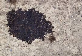 Bob Vila Radio Homemade Remedies For Driveway Oil Spots Remove Oil Stains Cleaning Hacks Oil Stains